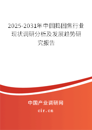 2025-2031年中國搗固焦行業(yè)現(xiàn)狀調(diào)研分析及發(fā)展趨勢(shì)研究報(bào)告