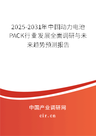 2025-2031年中國動力電池PACK行業(yè)發(fā)展全面調(diào)研與未來趨勢預(yù)測報(bào)告 2025-2031年中國動力電池PACK行業(yè)發(fā)展全面調(diào)研與未來趨勢預(yù)測報(bào)告