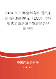 2024-2030年全球與中國(guó)汽車發(fā)動(dòng)機(jī)控制單元（ECU）市場(chǎng)現(xiàn)狀全面調(diào)研與發(fā)展趨勢(shì)預(yù)測(cè)報(bào)告