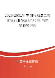 2025-2031年中國氣相法二氧化鈦行業(yè)發(fā)展現(xiàn)狀分析與前景趨勢報(bào)告