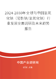 2024-2030年全球與中國氫氧化鈉（苛性鈉/氫氧化鈉）行業(yè)發(fā)展全面調(diào)研及未來趨勢報告
