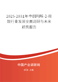 2025-2031年中國吲哚-2-羧酸行業(yè)發(fā)展全面調(diào)研與未來趨勢報告 2025-2031年中國吲哚-2-羧酸行業(yè)發(fā)展全面調(diào)研與未來趨勢報告