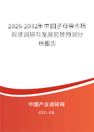 2024-2030年中國子母帶市場現(xiàn)狀調(diào)研與發(fā)展前景預(yù)測分析報告