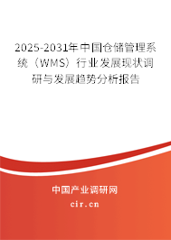 2025-2031年中國倉儲管理系統(tǒng)（WMS）行業(yè)發(fā)展現(xiàn)狀調(diào)研與發(fā)展趨勢分析報告