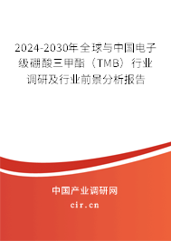 2024-2030年全球與中國電子級硼酸三甲酯（TMB）行業(yè)調(diào)研及行業(yè)前景分析報告