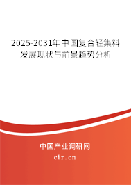 2025-2031年中國(guó)復(fù)合輕集料發(fā)展現(xiàn)狀與前景趨勢(shì)分析
