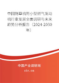 中國割草機(jī)用小型燃?xì)獍l(fā)動機(jī)行業(yè)發(fā)展全面調(diào)研與未來趨勢分析報告（2024-2030年）