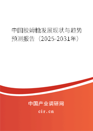 中國膠姆糖發(fā)展現狀與趨勢預測報告（2025-2031年）