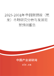 2025-2031年中國聚酰胺（尼龍）市場研究分析與發(fā)展前景預測報告