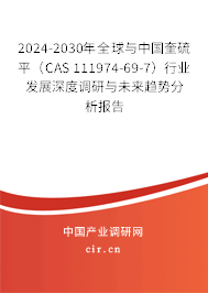 2024-2030年全球與中國奎硫平（CAS 111974-69-7）行業(yè)發(fā)展深度調(diào)研與未來趨勢分析報(bào)告