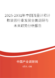 2024-2030年中國流量計和計數(shù)裝置行業(yè)發(fā)展全面調(diào)研與未來趨勢分析報告