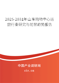 2025-2031年山東購(gòu)物中心運(yùn)營(yíng)行業(yè)研究與前景趨勢(shì)報(bào)告