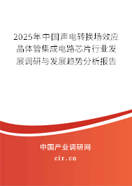 2025年中國聲電轉(zhuǎn)換場效應晶體管集成電路芯片行業(yè)發(fā)展調(diào)研與發(fā)展趨勢分析報告