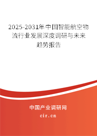 2025-2031年中國智能航空物流行業(yè)發(fā)展深度調(diào)研與未來趨勢報告