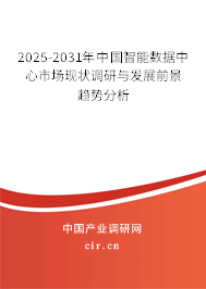 2025-2031年中國(guó)智能數(shù)據(jù)中心市場(chǎng)現(xiàn)狀調(diào)研與發(fā)展前景趨勢(shì)分析