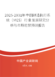 2025-2031年中國制造執(zhí)行系統(tǒng)（MES）行業(yè)發(fā)展研究分析與市場前景預(yù)測報告