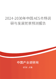 2023-2029年中國AES市場調(diào)研與發(fā)展前景預(yù)測報告
