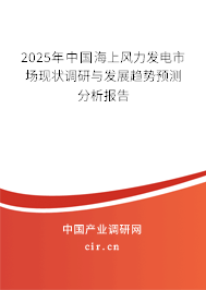 2025年中國海上風(fēng)力發(fā)電市場現(xiàn)狀調(diào)研與發(fā)展趨勢預(yù)測分析報(bào)告 2025年中國海上風(fēng)力發(fā)電市場現(xiàn)狀調(diào)研與發(fā)展趨勢預(yù)測分析報(bào)告