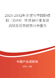 2025-2031年全球與中國巨磁阻（GMR）傳感器行業(yè)發(fā)展調(diào)研及前景趨勢分析報告