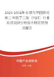 2025-2031年全球與中國聚對苯二甲酸丁二酯（PBT）行業(yè)現(xiàn)狀調(diào)研分析及市場前景預(yù)測報告