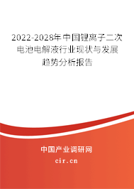 2022-2028年中國(guó)鋰離子二次電池電解液行業(yè)現(xiàn)狀與發(fā)展趨勢(shì)分析報(bào)告