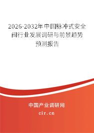 2025-2031年中國脈沖式安全閥行業(yè)發(fā)展調(diào)研與前景趨勢(shì)預(yù)測報(bào)告