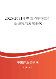 2025-2031年中國(guó)PPP模式行業(yè)研究與發(fā)展趨勢(shì)