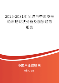 2025-2031年全球與中國(guó)皮帶輪市場(chǎng)現(xiàn)狀分析及前景趨勢(shì)報(bào)告