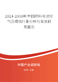 2024-2030年中國燃料電池空氣壓縮機行業(yè)分析與發(fā)展趨勢報告