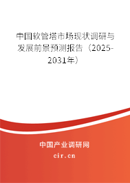 中國軟管塔市場現(xiàn)狀調(diào)研與發(fā)展前景預測報告（2025-2031年）