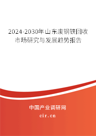 2024-2030年山東廢鋼鐵回收市場(chǎng)研究與發(fā)展趨勢(shì)報(bào)告