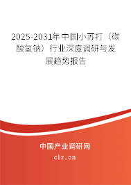 2025-2031年中國(guó)小蘇打(碳酸氫鈉)行業(yè)深度調(diào)研與發(fā)展趨勢(shì)報(bào)告 2025-2031年中國(guó)小蘇打(碳酸氫鈉)行業(yè)深度調(diào)研與發(fā)展趨勢(shì)報(bào)告