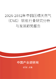 2026-2032年中國壓縮天然氣（CNG）鋼瓶行業(yè)研究分析與發(fā)展趨勢報告