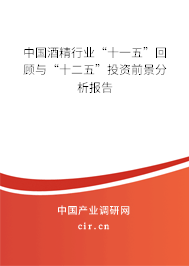 中國(guó)酒精行業(yè)“十一五”回顧與“十二五”投資前景分析報(bào)告