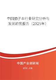 中國(guó)拍子本行業(yè)研究分析與發(fā)展趨勢(shì)報(bào)告（2025年）