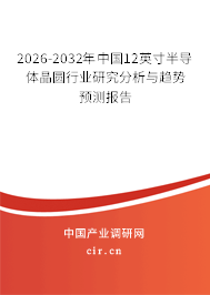 2025-2031年中國12英寸半導(dǎo)體晶圓行業(yè)研究分析與趨勢預(yù)測報告