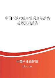 中國2-溴吡啶市場調查與投資前景預測報告 中國2-溴吡啶市場調查與投資前景預測報告