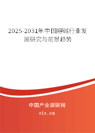 2025-2031年中國(guó)膽堿行業(yè)發(fā)展研究與前景趨勢(shì) 2025-2031年中國(guó)膽堿行業(yè)發(fā)展研究與前景趨勢(shì)