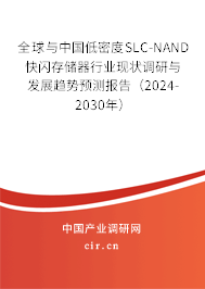 全球與中國低密度SLC-NAND快閃存儲器行業(yè)現(xiàn)狀調(diào)研與發(fā)展趨勢預(yù)測報告（2024-2030年）