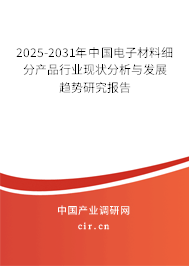 2025-2031年中國(guó)電子材料細(xì)分產(chǎn)品行業(yè)現(xiàn)狀分析與發(fā)展趨勢(shì)研究報(bào)告
