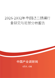 2024-2030年中國己二酰肼行業(yè)研究與前景分析報告