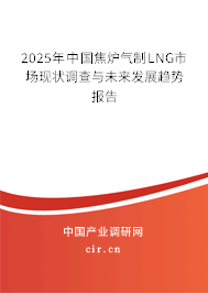 2024年中國(guó)焦?fàn)t氣制LNG市場(chǎng)現(xiàn)狀調(diào)查與未來(lái)發(fā)展趨勢(shì)報(bào)告
