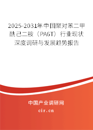 2025-2031年中國聚對苯二甲酰己二胺（PA6T）行業(yè)現(xiàn)狀深度調(diào)研與發(fā)展趨勢報告
