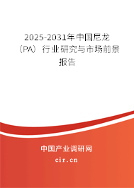 2025-2031年中國(guó)尼龍(PA)行業(yè)研究與市場(chǎng)前景報(bào)告 2025-2031年中國(guó)尼龍(PA)行業(yè)研究與市場(chǎng)前景報(bào)告