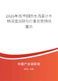 2026年版中國熱水流量計市場深度調(diào)研與行業(yè)前景預測報告