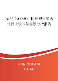 2024-2030年中國熱塑性聚烯烴行業(yè)現(xiàn)狀與前景分析報告