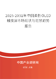 2025-2031年中國柔性O(shè)LED觸摸屏市場現(xiàn)狀與前景趨勢報(bào)告 2025-2031年中國柔性O(shè)LED觸摸屏市場現(xiàn)狀與前景趨勢報(bào)告