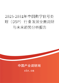 2025-2031年中國數(shù)字信號處理（DSP）行業(yè)發(fā)展全面調(diào)研與未來趨勢分析報告