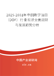 2025-2031年中國數(shù)字油田(DOF)行業(yè)現(xiàn)狀全面調(diào)研與發(fā)展趨勢分析 2025-2031年中國數(shù)字油田(DOF)行業(yè)現(xiàn)狀全面調(diào)研與發(fā)展趨勢分析