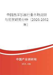 中國西洋樂器行業(yè)市場調研與前景趨勢分析（2026-2032年）